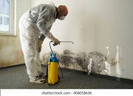 Mold Odor Removal Services in Grenelefe, FL